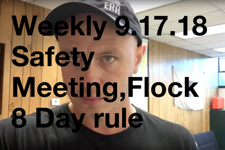 Weekly 9.17.18 Safety Meeting, Flock,