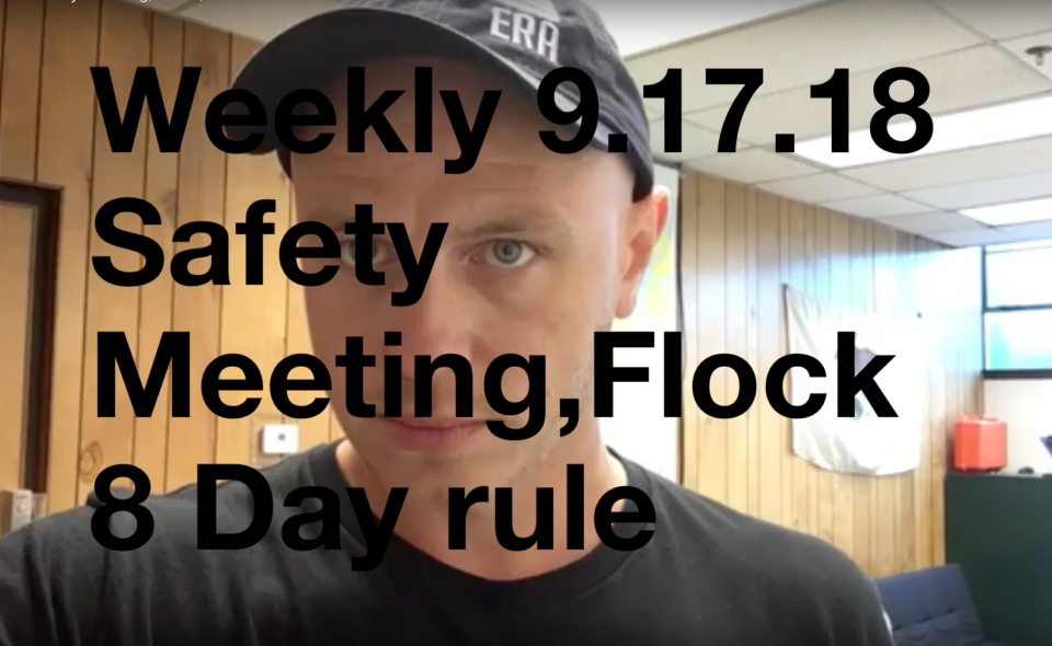 Weekly 9.17.18 Safety Meeting, Flock,